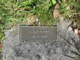 image of grave number 504654
